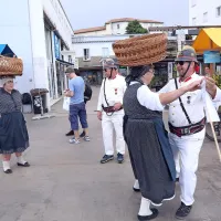 Pestro dogajanje ob morju