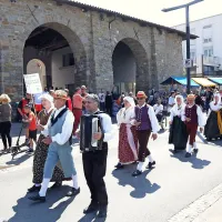 Pestro dogajanje ob morju