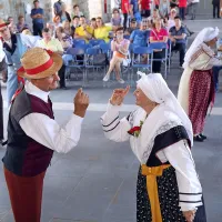 Pestro dogajanje ob morju