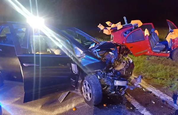Najprej v drevo, nato &scaron;e čelno v drugega voznika