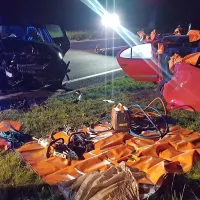 Najprej v drevo, nato &scaron;e čelno v drugega voznika