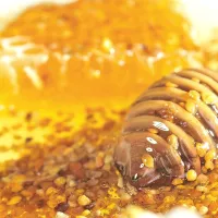 Med, cvetni prah, propolis, matični mleček, vosek, izkopanec so 
dokazano zdravilni. 