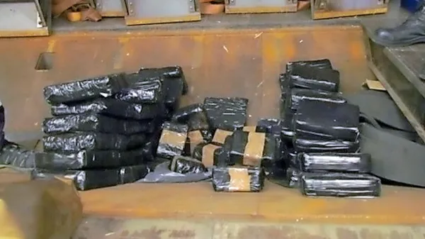 Slovenski del združbe je bil zadolžen predvsem za logistiko pri 
tihotapljenju velikih količin prepovedanih drog. 