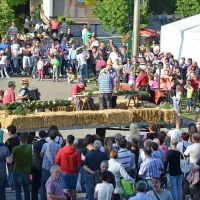 V Orehovljah vrhunec &scaron;pargljevega praznika