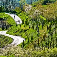 Vipavska dolina ni primerna za množični turizem, njene priložnosti so v butičnosti in drugačnosti.