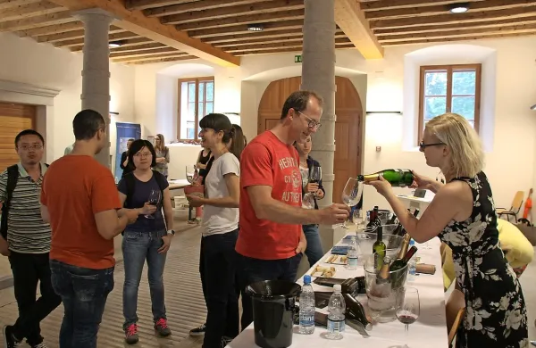 11. &scaron;tudentski festival vin segel čez meje