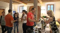 11. &scaron;tudentski festival vin segel čez meje