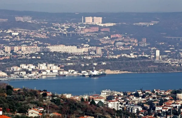 Plinski terminal naj bi zgradili v Žavljah.