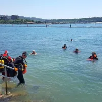 Več kot 700 za&scaron;čitenih le&scaron;čurjev so preselili