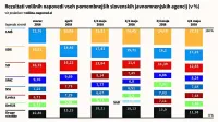 Prve glasovnice oddane, SDS utrjuje vodstvo