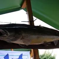 Na prvem mestu skrb za ribe in vodotoke