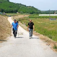 Del praznika bo ovekovečil strip