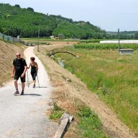 Del praznika bo ovekovečil strip