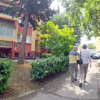 Projekt prenove Cankarjevega naselja bodo izvedli predvidoma v 
petih letih, razdeljen pa bo v več etap.