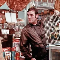Skupina Monty Python je blestela v sedemdesetih in osemdesetih 
letih; na fotografiji sloviti skeč, v katerem je John Cleese upodobil 
besnega kupca mrtvega papagaja. 