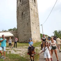 Kubed poravnal dolg s Hrastovljami