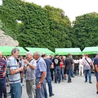 Vino je umetnina narave