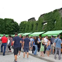 Vino je umetnina narave