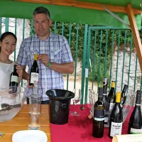 Vino je umetnina narave