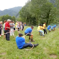 Vol je bila junica