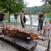 Vol je bila junica