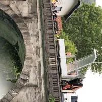 Vol je bila junica