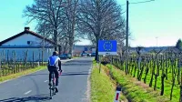 S kohezijskim denarjem bodo gradili tudi mrežo kolesarskih stez.