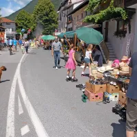 Zdaj tudi hop na bus v Benečijo