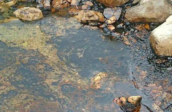 Gorivo de je razširilo do polovice Raškega zaliva, v pristanišču 
Trget pa  prekrilo dobršen del obale ter plovila, privezana ob 
njej. 