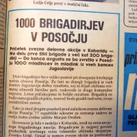 Zvezne delovne akcije v Posočju se je udeležilo tisoč brigadirjev iz 
vse Jugoslavije, ki so pomagali pri popotresni obnovi.