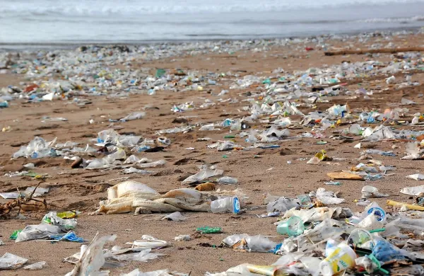 V Mumbaiju nad kr&scaron;ilce zakonodaje o prepovedi plastičnih izdelkov
