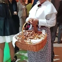 Slovensko Istro je predstavljala tudi šavrinka.