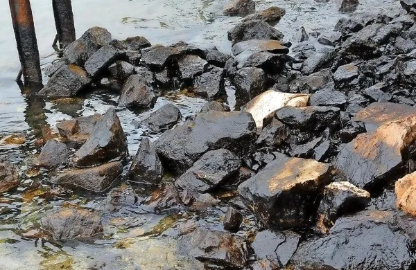 Po nedavnem razlitju nafte v morje v Raškem zalivu osumljenim 
Sircem grozi do deset let zapora. 