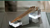 Bronasto bodalo je po skoraj 33 letih spet v vitrini Narodnega 
muzeja Slovenije.