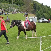 Na Furmanskem prazniku lahko najmlajši jahajo konje in se vozijo 
s kočijo.