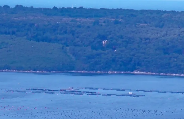 Inšpektor za okolje je 22. junija opravil ogled na območju 
hrvaškega školjčišča v Piranskem zalivu in ugotovil, da se je število 
nosilnih boj povečalo.