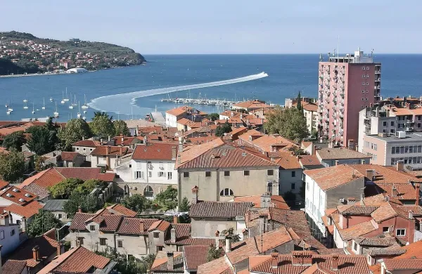 Koper bi gostil Olimpijski festival evropske mladine