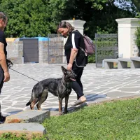 Pogovarjajo se, strinjajo ne
