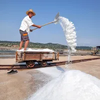   Dedičev kupček soli je iz dneva v dan večji. 