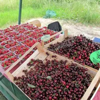 In&scaron;pektorji pi&scaron;ejo kazni, prodajalci se požvižgajo