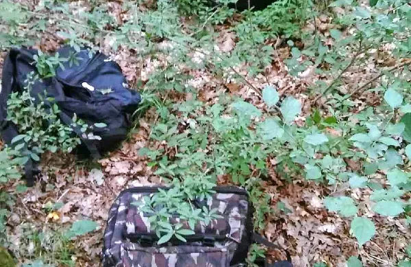 Odvrženi nahrbtniki z oblačili in obutvijo v goščavi  med Kastelcem 
in Socerbom razkrivajo begunsko pot.