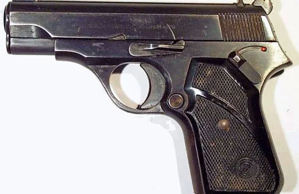 V ZDA policija smrtno ranila ko&scaron;arkarja Himkija