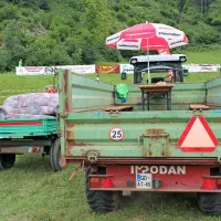 Na zboru traktoristov v Dolenji Trebu&scaron;i tudi starej&scaron;i lepotci