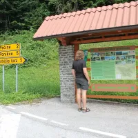 Plavanje, ribarjenje in hoja