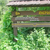 Plavanje, ribarjenje in hoja