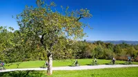 Kolesarske poti vodijo mimo glavnih turističnh točk, omogočajo 
pa tudi postanke v naravi.