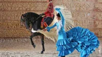 Lipicanci in andaluzijski konji bodo prikazali eno prvih poglavij v 
zgodovini Kobilarne Lipica, prihod španskih žrebcev. 