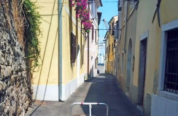 Z avtom nič več po Petronijevi ulici