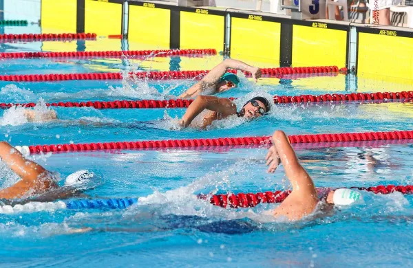 V včerajšnjem tekmovalnem sporedu sta tri kolajne osvojila plavalca piranskega PK Biser. Marcel 
Primožič je bil na 400 metrov prosto prvi med mladinci in drugi abolutno, Jaša Benčič pa je bil tretji 
med kadeti na 100 metrov prsno.