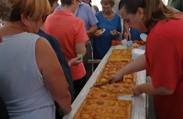 Prvačke žene bodo tudi letos spekle breskovo pito velikanko. 